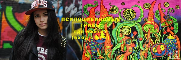 mdpv Горно-Алтайск