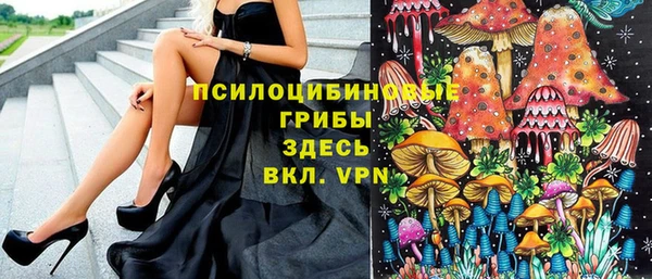 дурь Горняк
