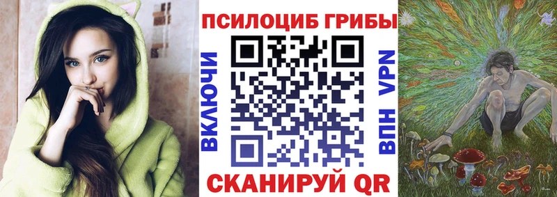 Галлюциногенные грибы Magic Shrooms  Купить  Павлово 